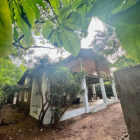 The Sunset Chalet أنجونا المظهر الخارجي الصورة