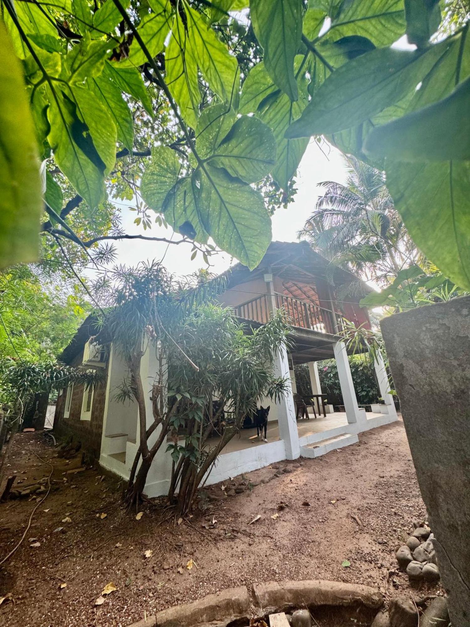 The Sunset Chalet أنجونا المظهر الخارجي الصورة